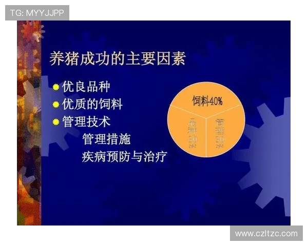 探索运动的多样性与健康效益：从健身到竞技体育的全方位解读