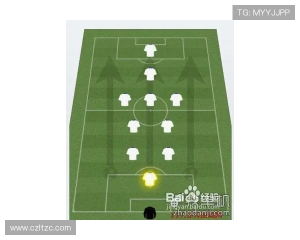 成都攀岩队区域防守体系的战术分析与实战应用探讨